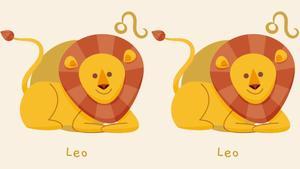 Compatibilidad Leo Leo
