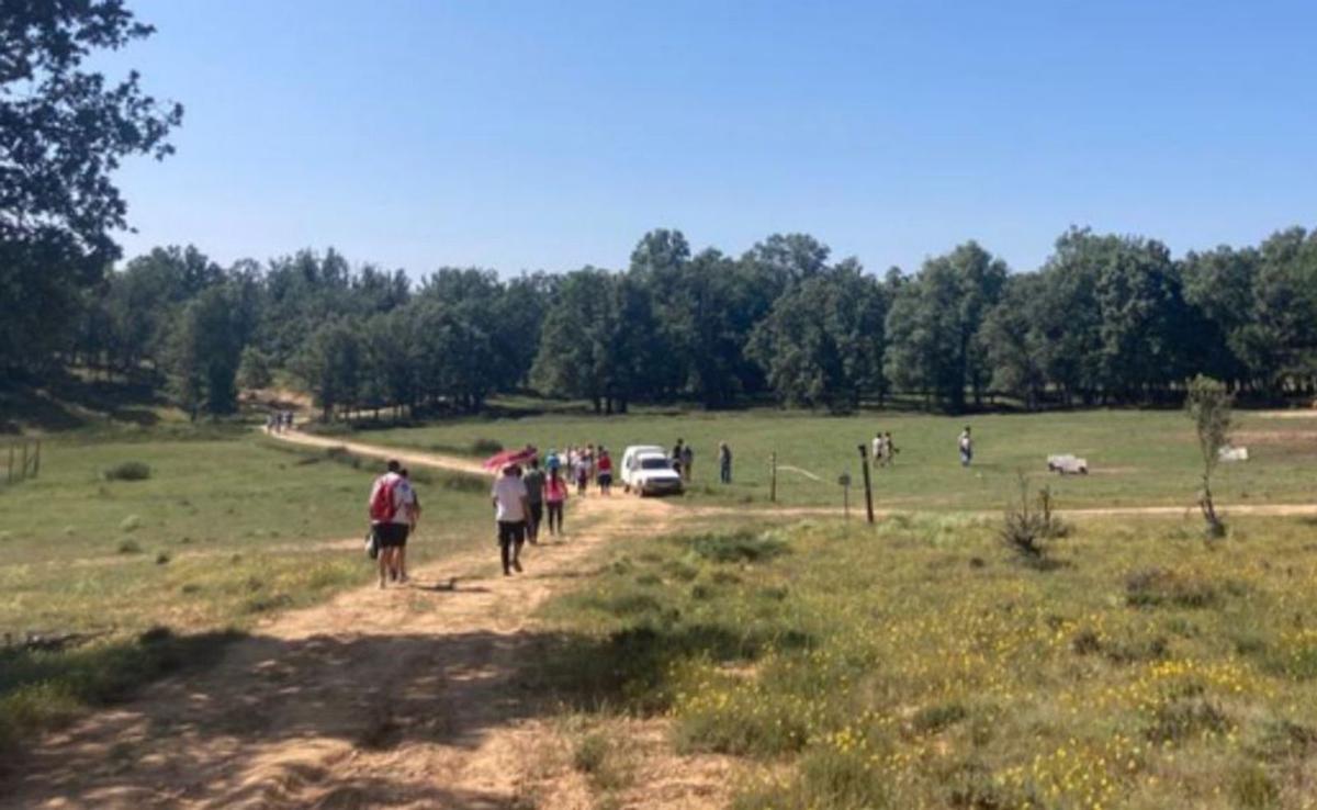 Convivencia para la formación