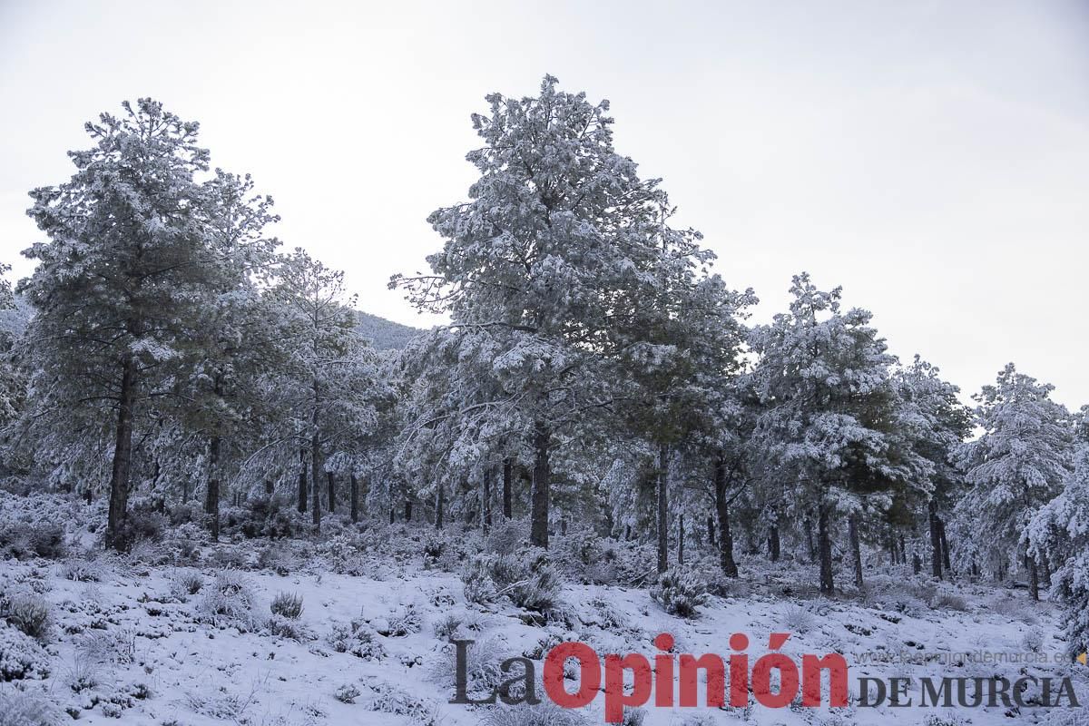 Descubre dónde queda acumulación de nieve en la Región de Murcia