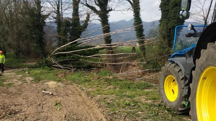 Un moment dels treballs de neteja començats ahir