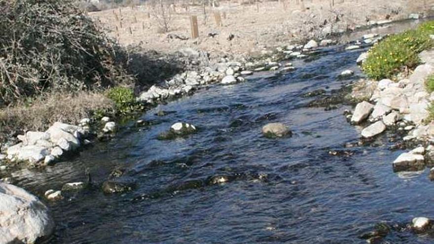 Imagen del río Vinalopó a su paso por la ciudad de Elda