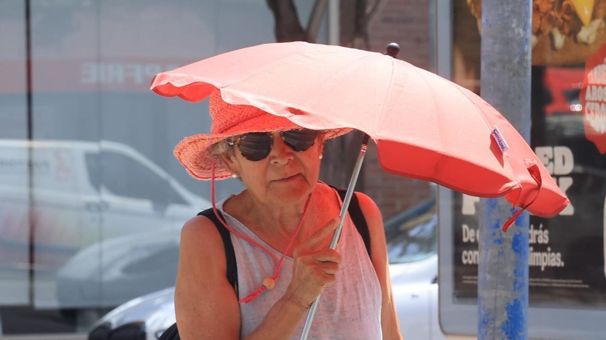El tiempo en Alicante: vuelve el calor con máximas de más de 30 grados en el interior