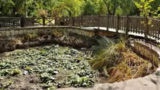 Oliva tiene un plan para la recuperación ambiental del Parc de l'Hort de la Bosca