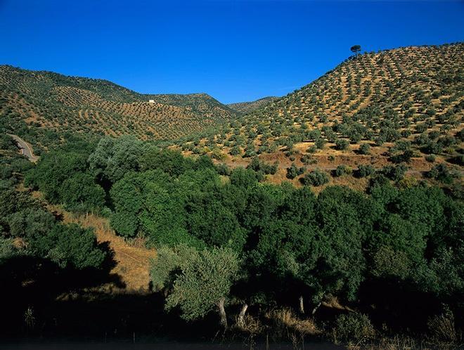 Cordoba. Andalucia. Sierra Morena