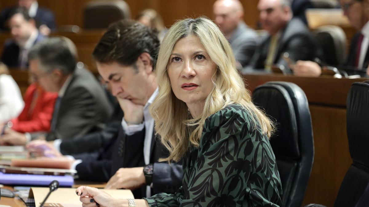 La vicepresidenta del Gobierno, Mar Vaquero, en un pleno de las Cortes.