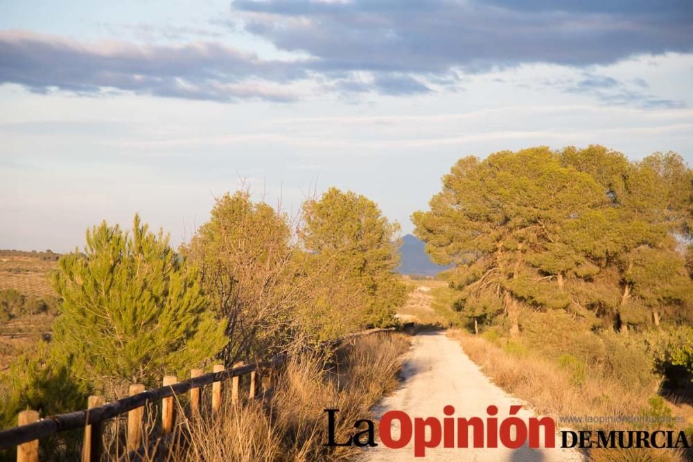 Peregrinar a Caravaca Jubilar. Vía del Noroeste