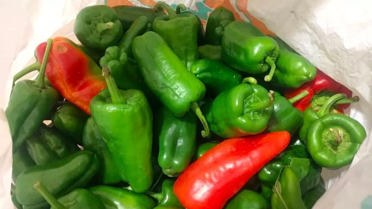 Regala pimientos en su portal y lo convierte en “el mercadillo de A Coruña”: "No paran de aparecer bolsas"