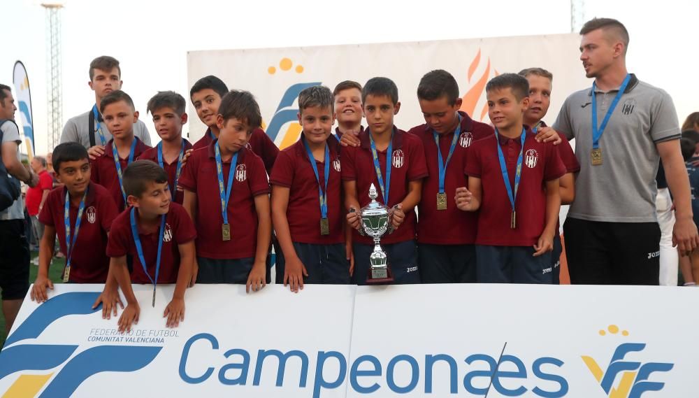 Campeones futbol 8