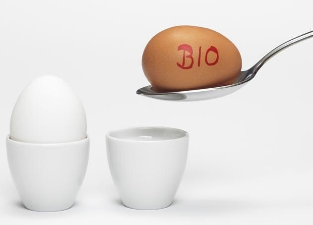 bio