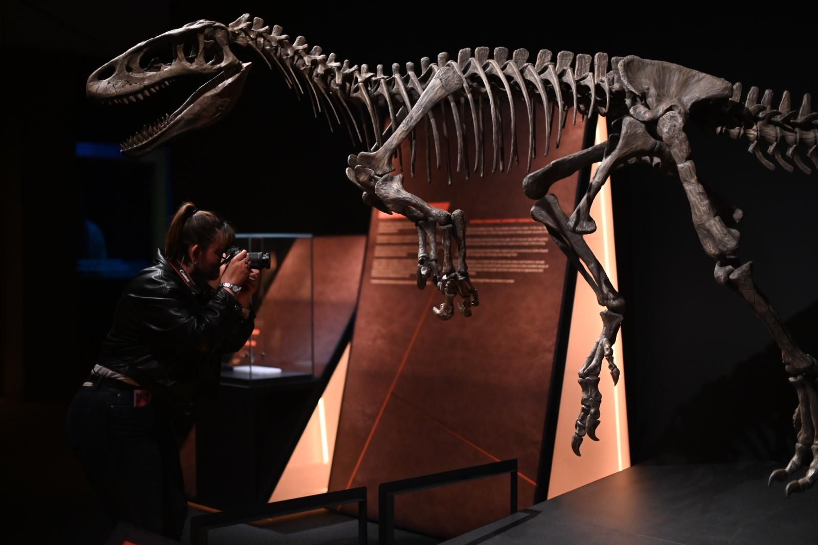 En imágenes | El dinosaurio más grande conocido conquista el Caixaforum de Zaragoza