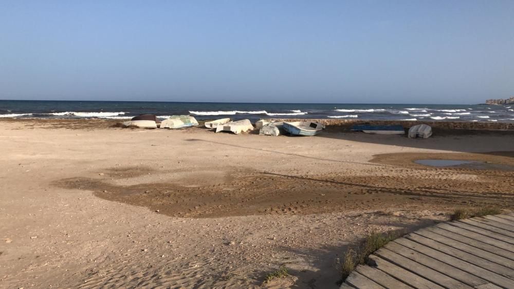 Baño para todos en Torrevieja