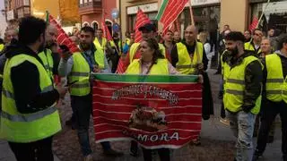 Nueva movilización de agricultores en Zamora: fecha y hora