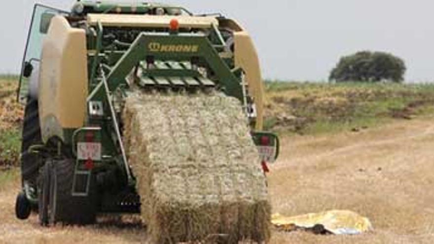 Fallece en Olivenza un trabajador al quedar atrapado en una máquina empacadora