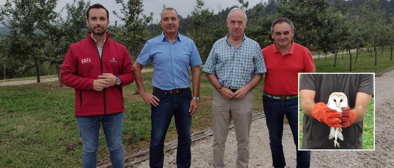 Por la izquierda, el director de Medio Natural, David Villar; Jorge García y Marcelino González, de Campoastur,  y el alcalde, Juan Cañal, durante el acto de suelta en Nava. En el cuadrado, una de las aves.