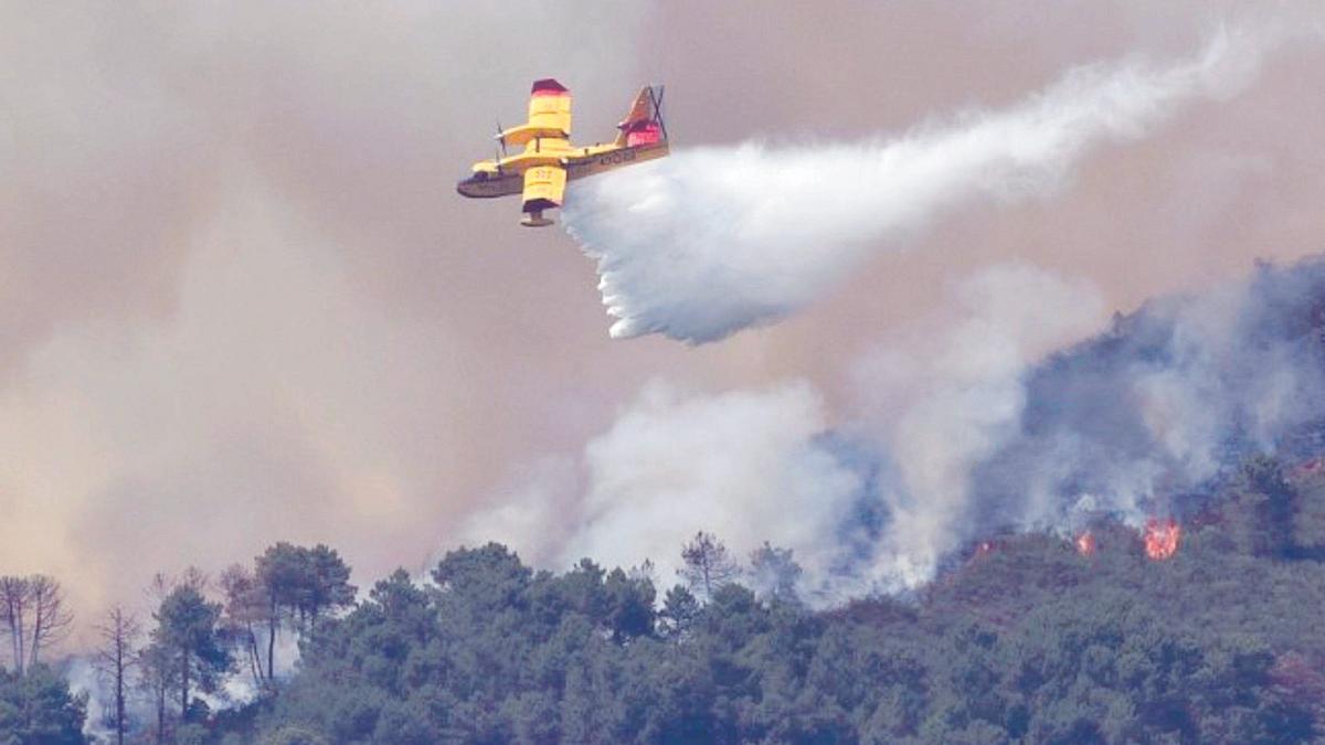Medios aéreos en la extinción de uno de los incendios del pasado verano.