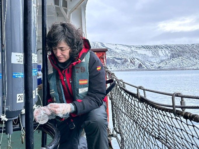 Una investigadora del IIM-CSIC participa en una campaña antártica del proyecto Dichoso