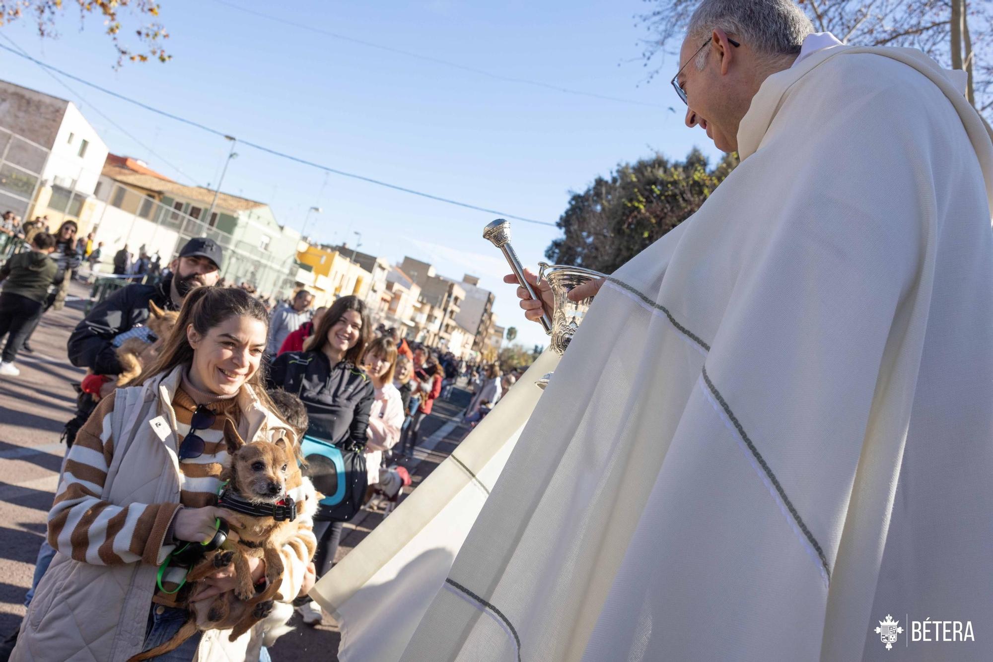 La bendición de los animales de Bétera por Sant Antoni.