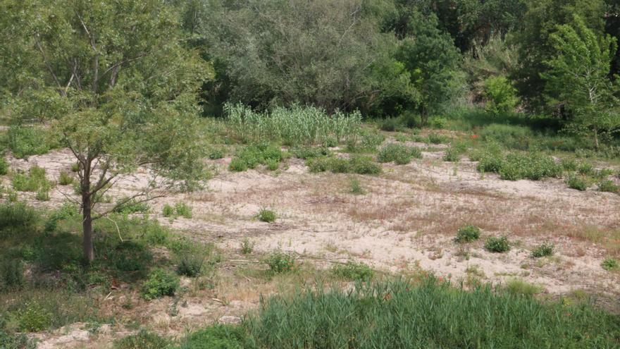 Ecologistes de Catalunya denuncia l&#039;ACA per la decisió de reduir els cabals dels rius