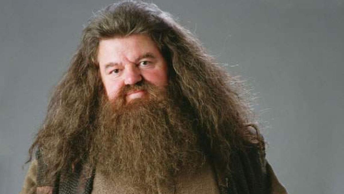 Rubeus Hagrid