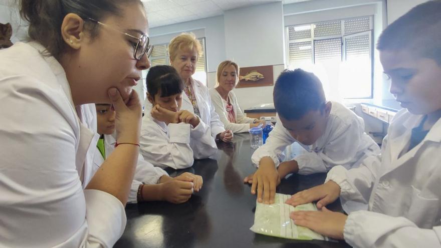 Un grupo de alumnos realizando uno de los dos experimentos del taller de la AECC.