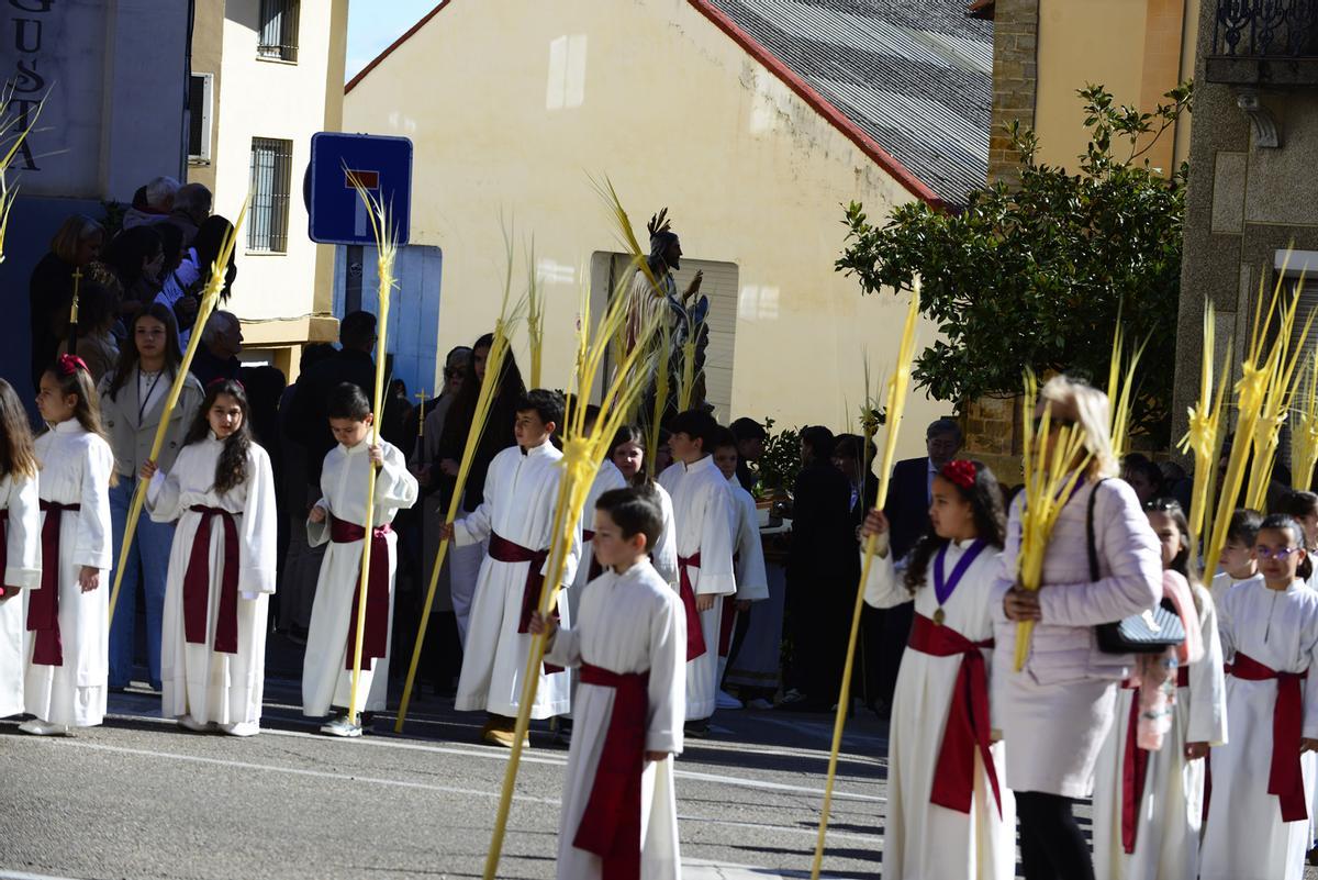 GALERIA | Procesión de Jesús en la Borriquilla en Benavente GALERIA | Procesión de Jesús en la Borriquilla en Benavente