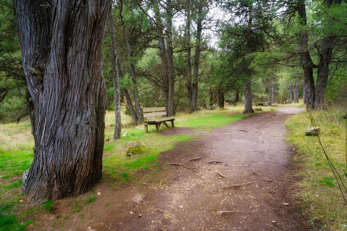 Uno de los paisajes más impresionantes de España