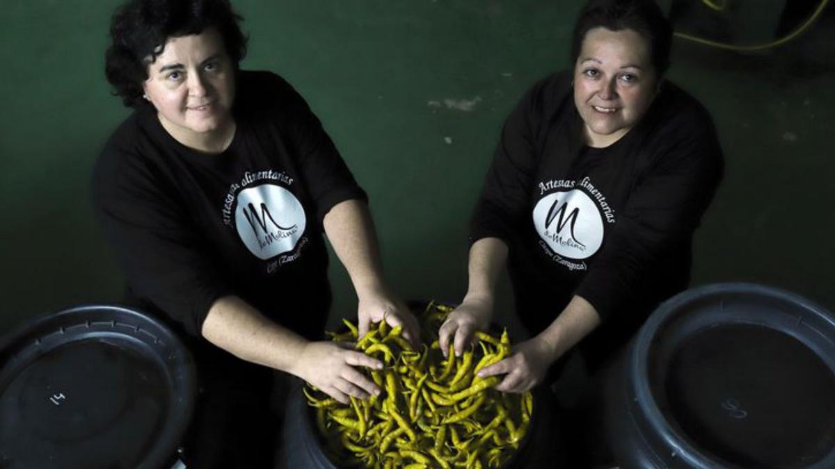 Rutas gastronómicas: conoce nuestros tesoros en el campo, la fábrica y el plato 