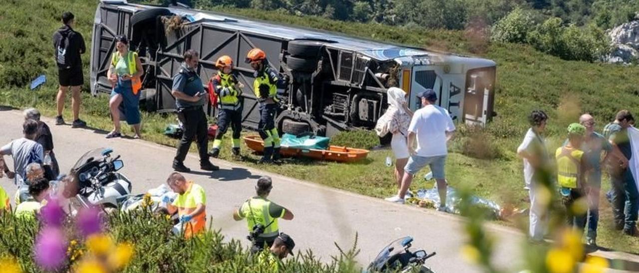 Grave accidente en Covadonga al despeñarse un autobús con niños que iba a los Lagos.
