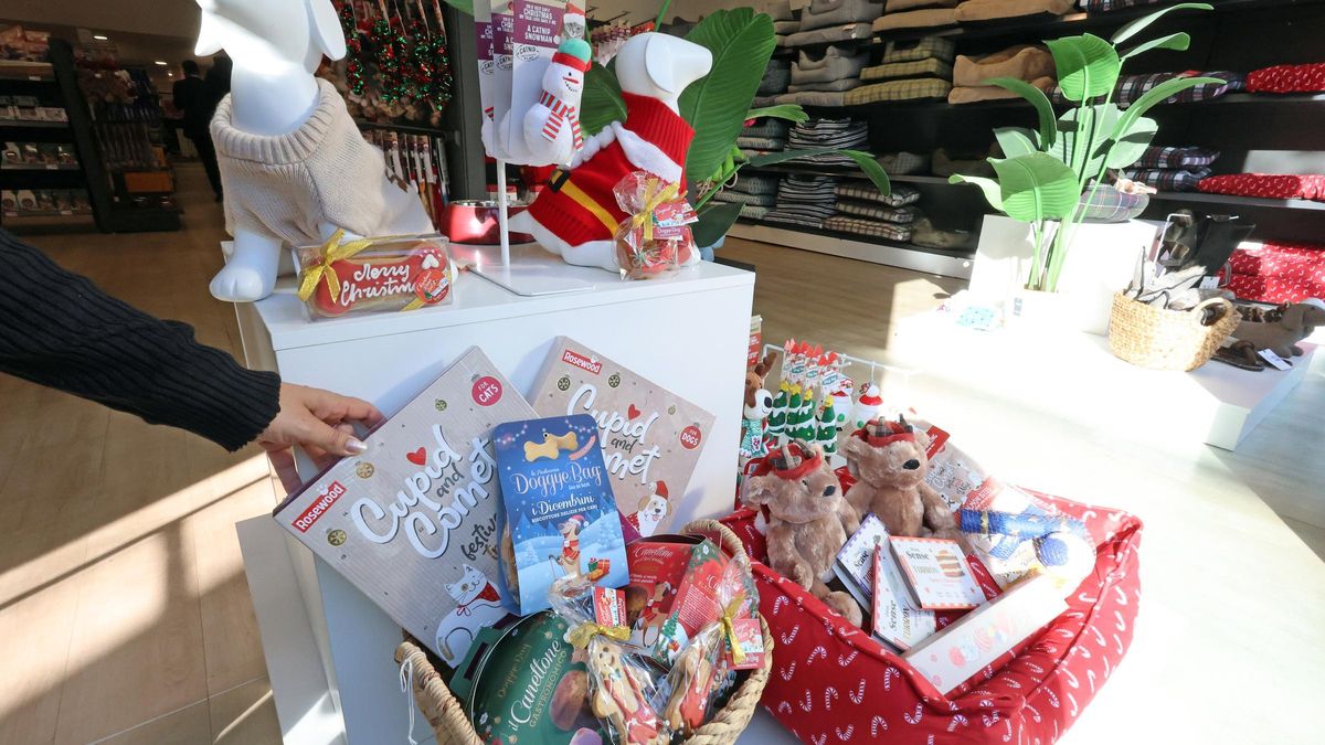 Las Navidades también son para los perros y los gatos