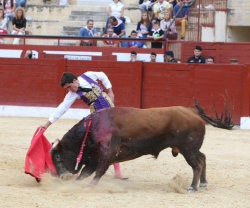 Novillada en Caravaca