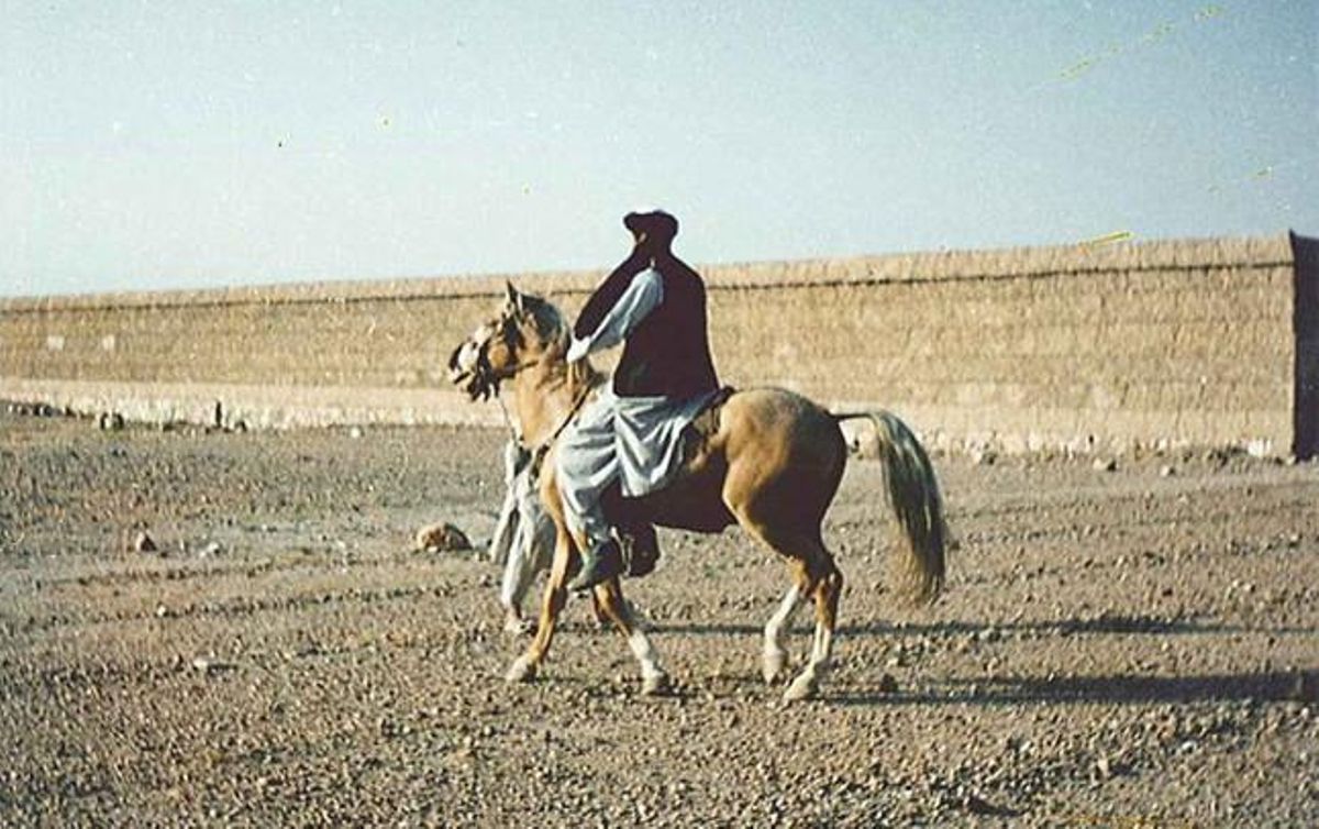 Bin Laden, a cavall.