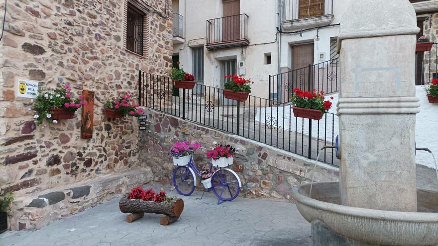 Higueras recibe el premio Viles en Flor Comunitat Valenciana