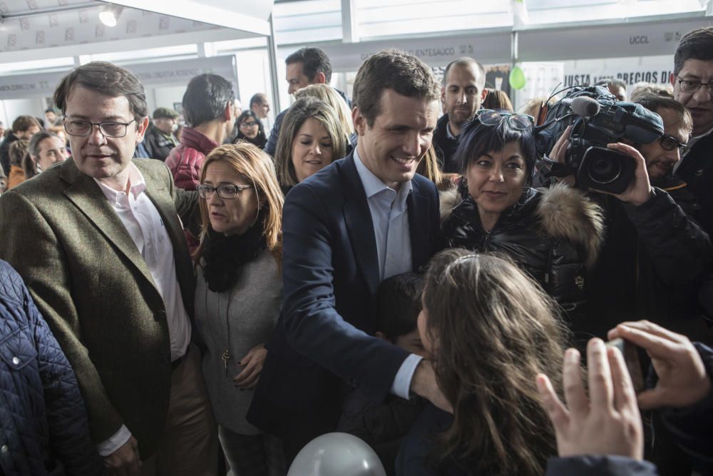 Visita de Pablo Casado a la Feria Raíces