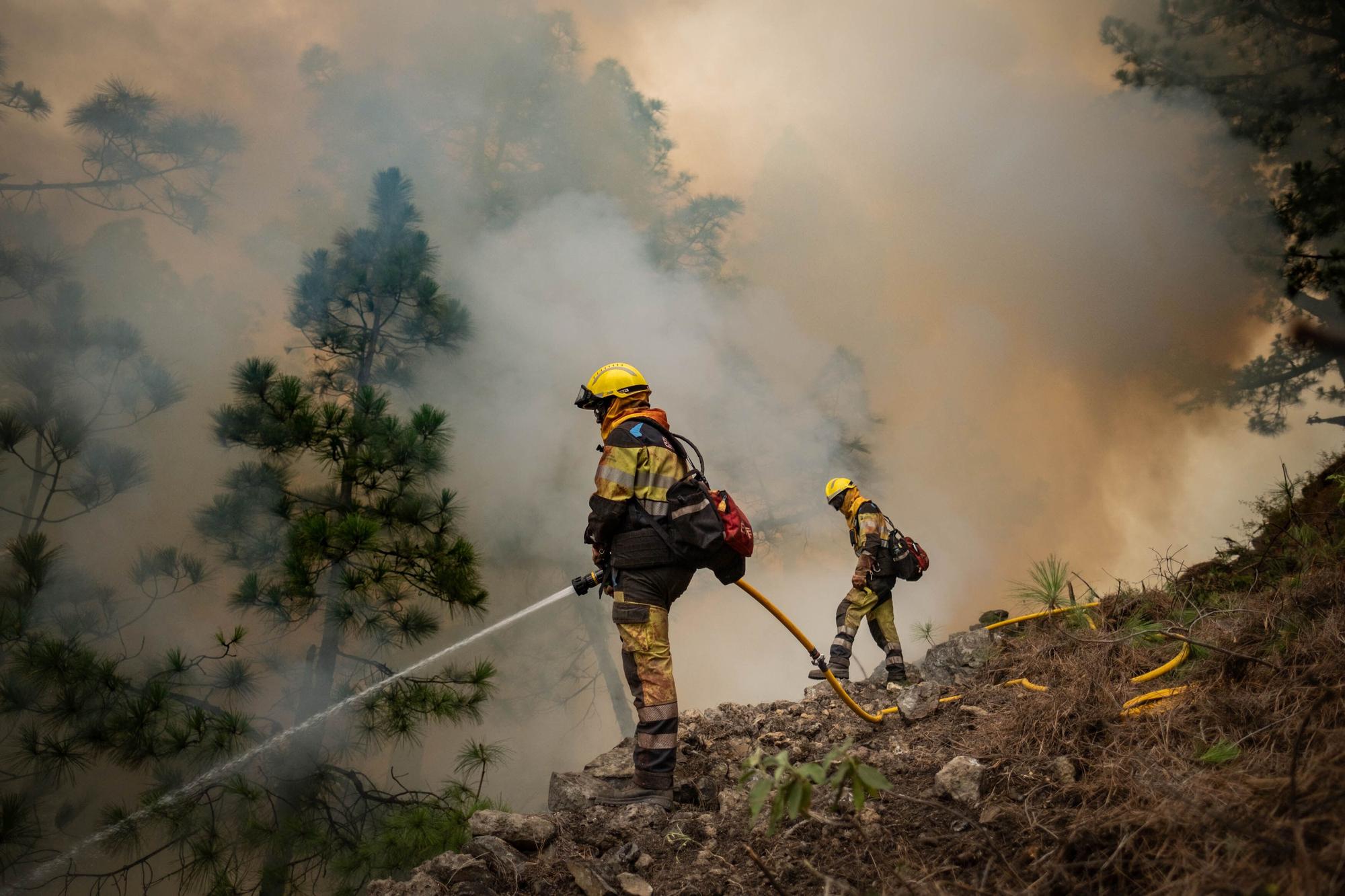 Incendio en La Palma, este domingo