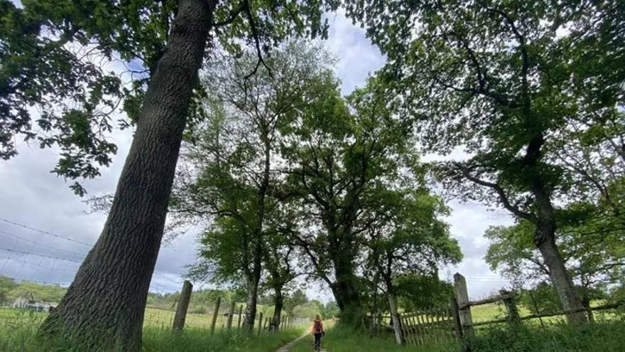 Ruta sendero del Remedio