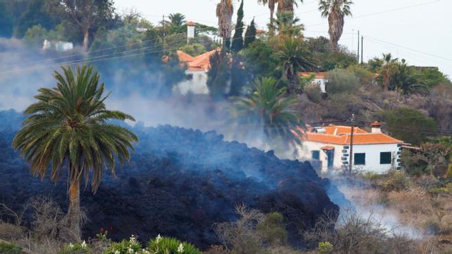 La lengua de lava fluye dirección al mar en la isla de la Palma 