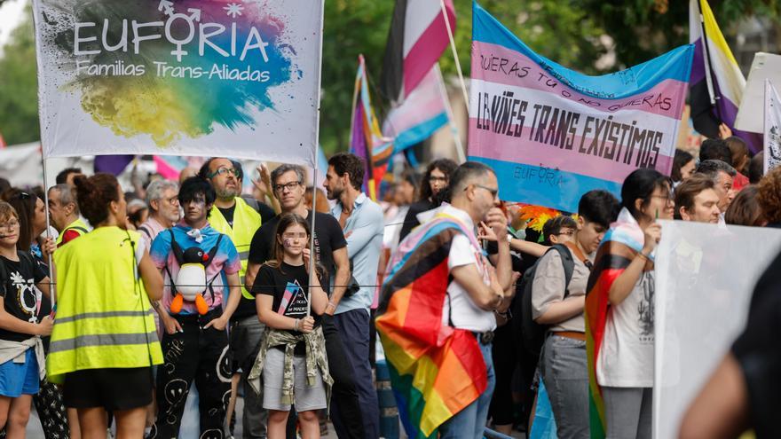El Orgullo Crítico marcha en Madrid &quot;contra el genocidio y el lavado rosa colonial&quot;
