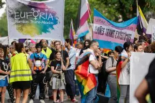 El Orgullo Crítico marcha en Madrid "contra el genocidio y el lavado rosa colonial"