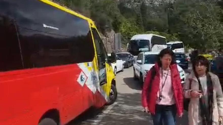 Fornalutx colapsa por los autobuses: la calle Arbona Colom se convierte en un embudo