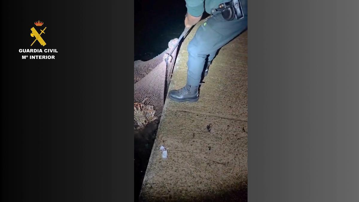 Intervenidos 74,5 kilos de centolla en Malpica: así operan los furtivos