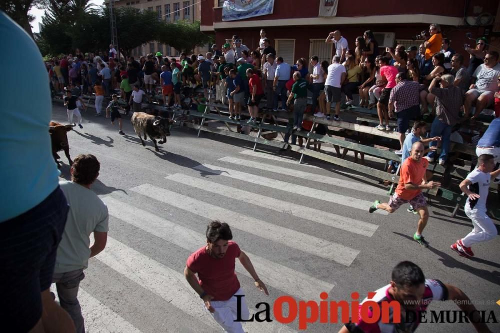 Cuarto encierro de Calasparra