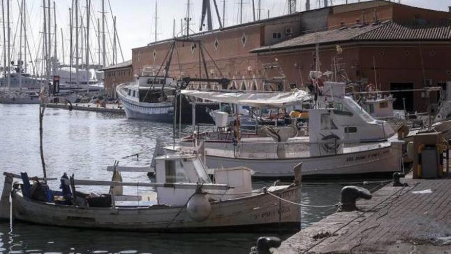 El muelle pesquero de Palma que la APB propone suprimir.