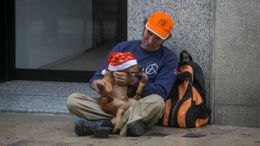 El Ayuntamiento estudia permitir la mendicidad con mascotas