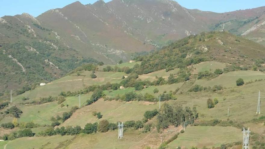 Terrenos del polígono de La Cobertoria, en Lena.