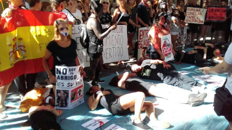 Colectivos animalistas protestan contra los &quot;bous a la mar&quot;