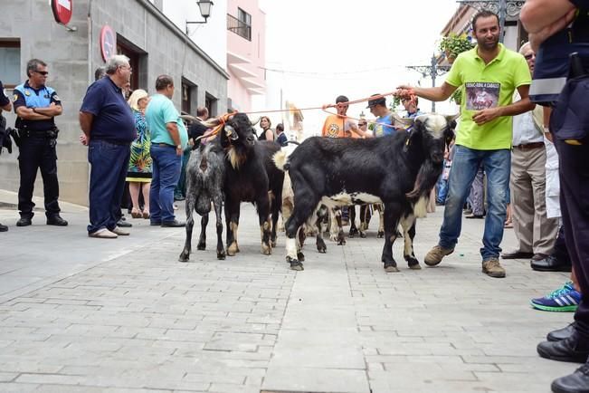 Fiestas de San ROQUE en Firgas