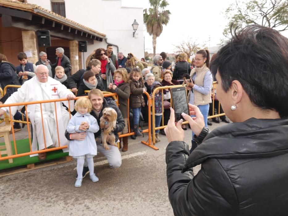 Fiesta de Sant Antoni Abad de Vera