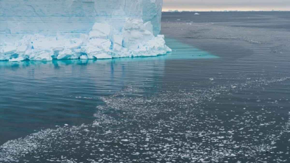 NIVEL DEL MAR / La Antártida pierde un área de hielo marino del tamaño de Francia por el calentamiento global