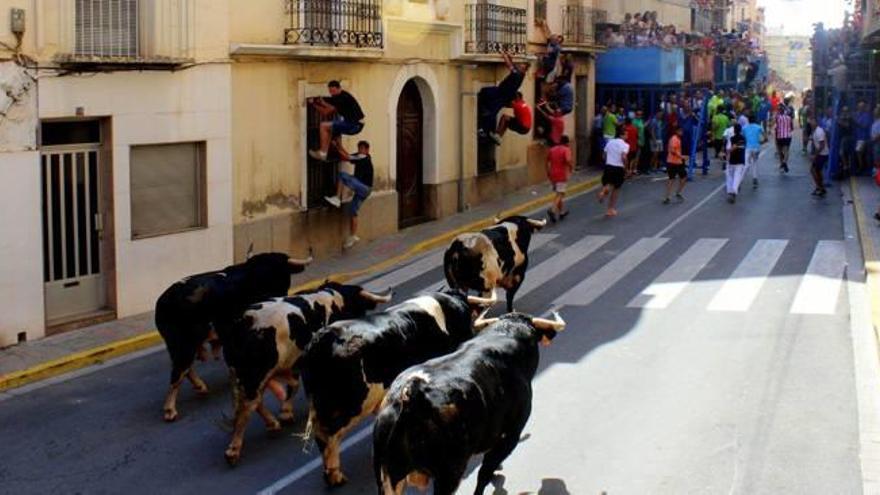 L&#039;Alcora abre los actos taurinos con seis cerriles de Monteviejo