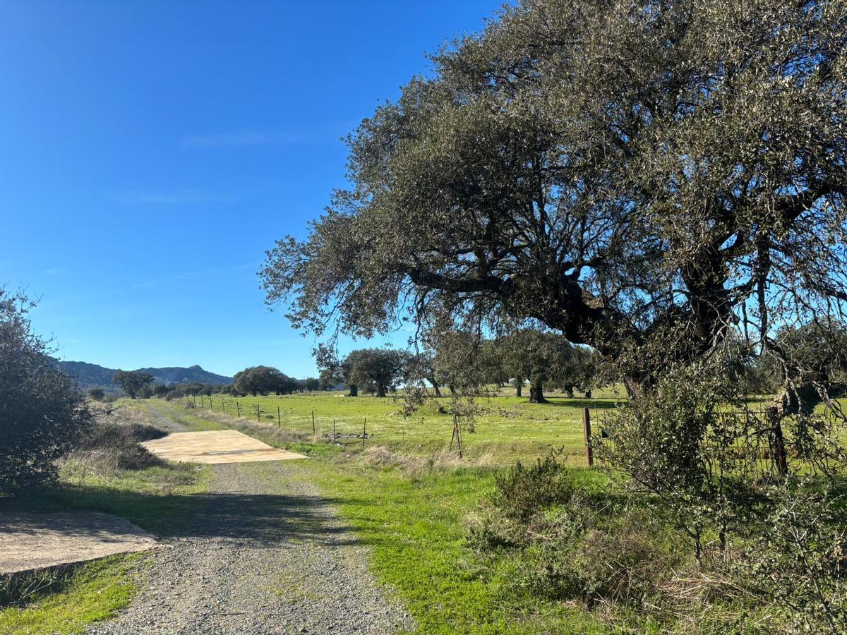 Dehesa de Herrera del Duque